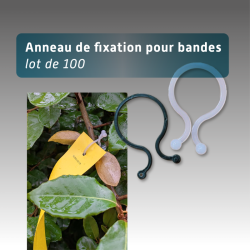 Anneau pour bande de rubalise réutilisable - lot de 100